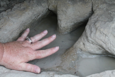 Fossilized footprint of Acrocanthosaurus, Paluxy River, Texas