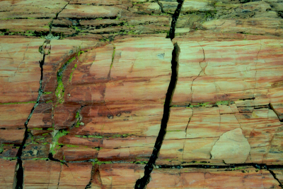 Petrified tree trunk in Arizona (long section)